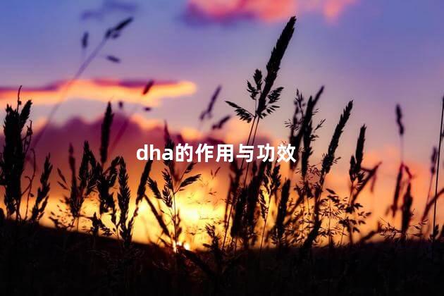 dha的作用与功效