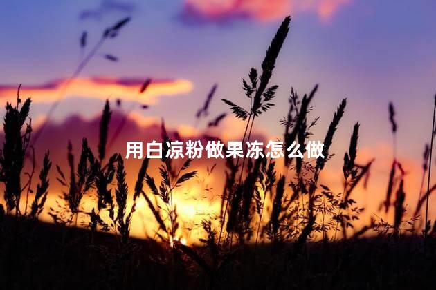 用白凉粉做果冻怎么做