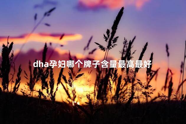 dha孕妇哪个牌子含量最高最好