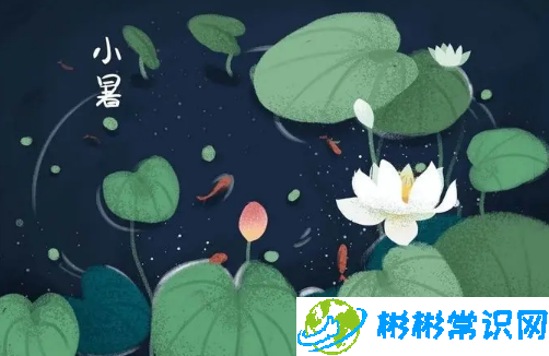 2024年小暑当天下雨好吗