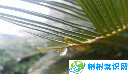 2024年6月云南多雨吗