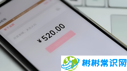 微信转账特殊金额可以追回吗