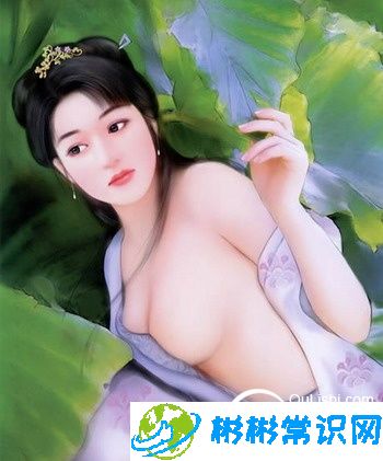 哪位皇帝妃子最多