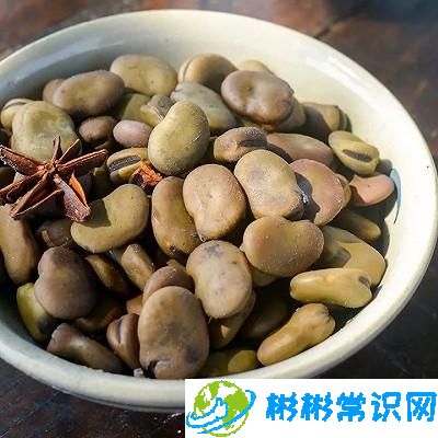 新鲜茴香豆正宗做法