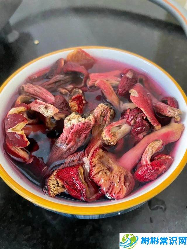 素食红菇炖汤