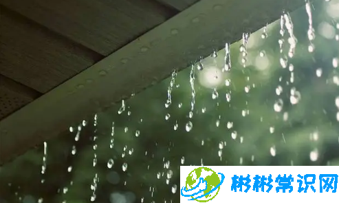 2024年夏季雨水是多还是少