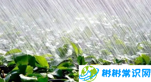 2024年春分有雨好不好