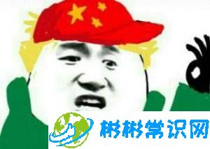 swag是什么意思