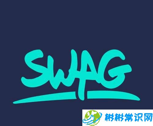 swag是什么意思