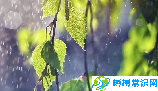 2024年上海梅雨季节是几月份