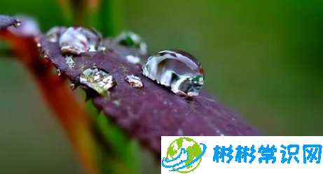 2024年上海梅雨季节是几月份