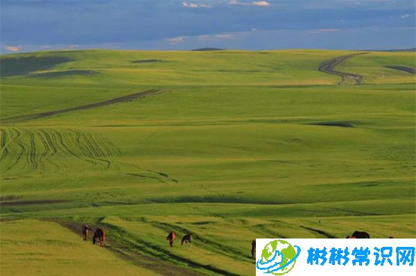 中国最大的草原