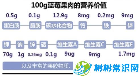 东北野生蓝莓鲜果价格