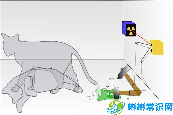 薛定谔的猫的恐怖之处