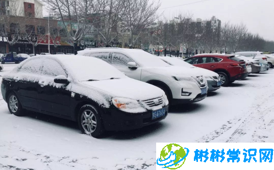 下雪天车子停在室外被树砸了谁的责任