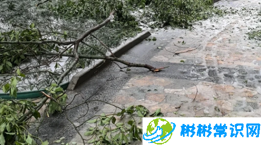 冻雨路面会结冰吗