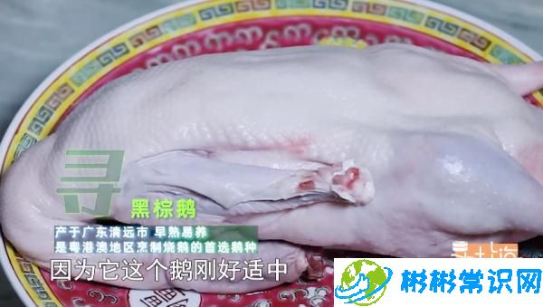 上海美食比较多的商场