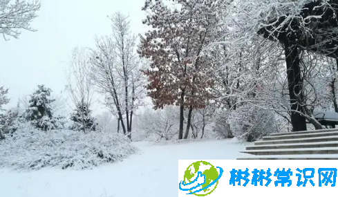 河南2月份会下雪吗