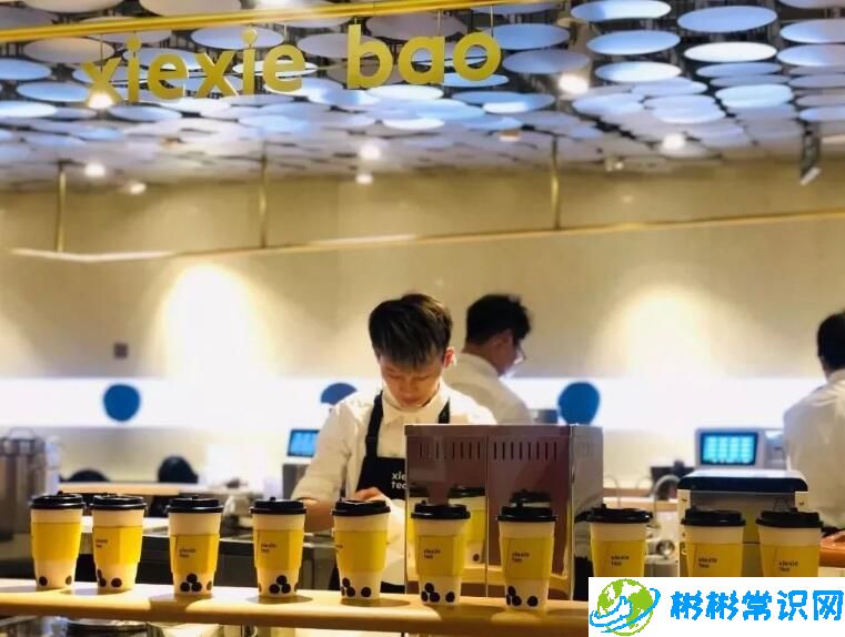 谢谢茶线下门店全部关闭