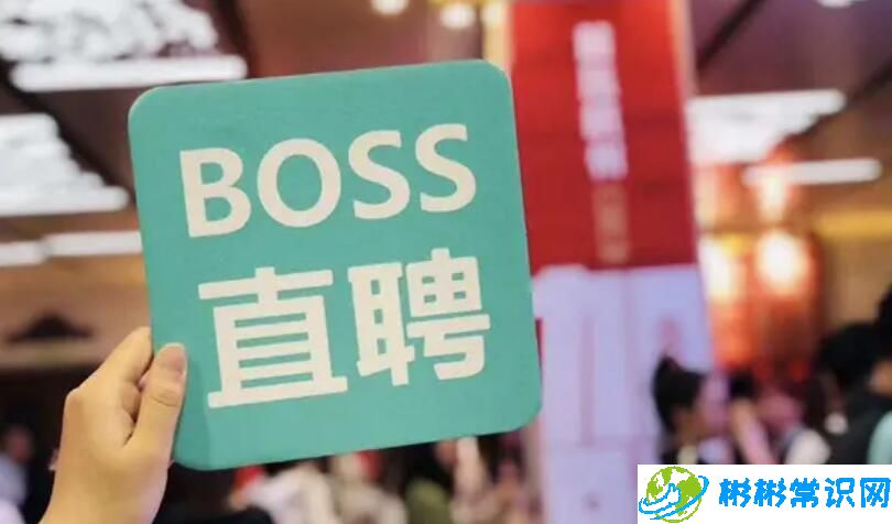 BOSS直聘