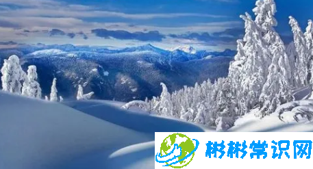 2024年元旦去南京能看到雪吗