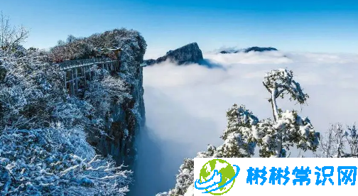 张家界天门山每年都下雪吗2024