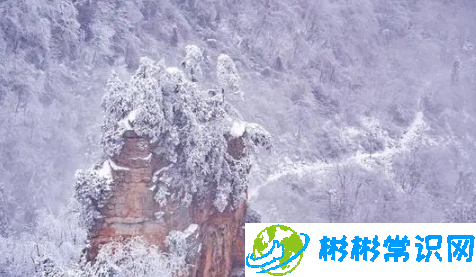 张家界天门山每年都下雪吗2024