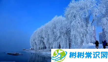 2024年吉林雾凇冰雪节每天都放烟花吗