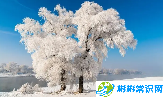 2024年吉林雾凇冰雪节每天都放烟花吗