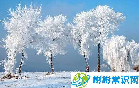 2024年吉林冬天中到大雪最低温度是多少