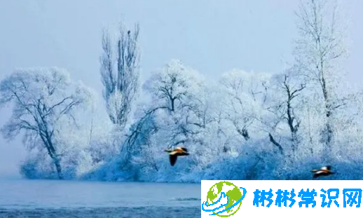 2024年吉林市雾凇冰雪节几号开始