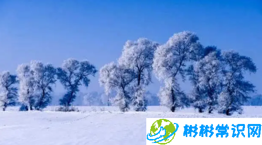 冬天在吉林最冷的温度是多少？2024年吉林冬天温度一般多少左右