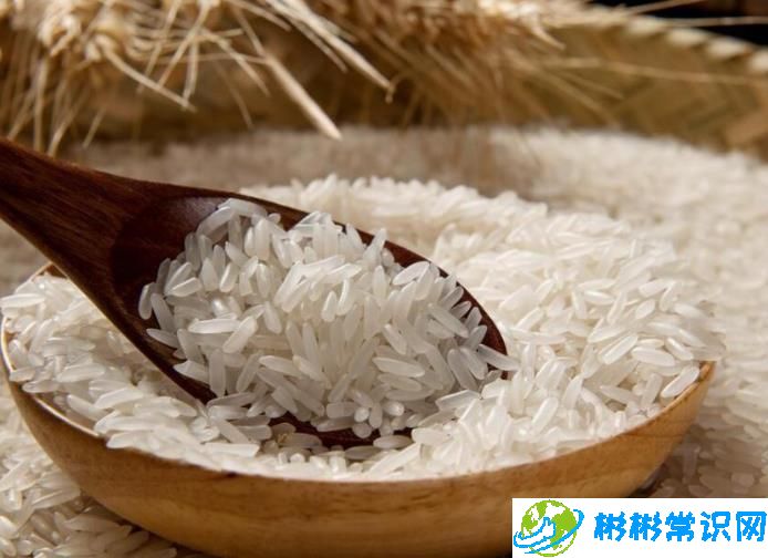 日本民众感慨米价猛涨 其它生活必需品价格也上涨了