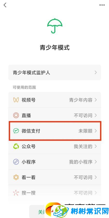 微信青少年模式怎么设置限制付款