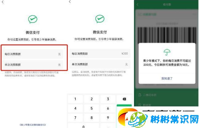 微信青少年模式怎么设置限制付款