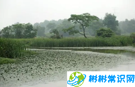 6月份是不是梅雨季节