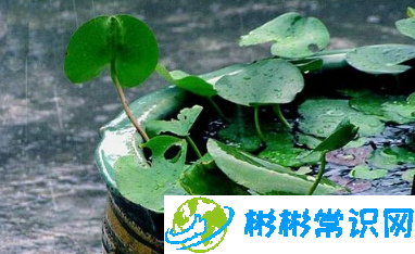 6月份是不是梅雨季节