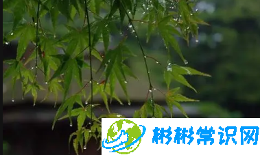 6月份是不是梅雨季节