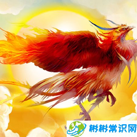 10大神兽原来长这样！中国古代十大神兽排行榜