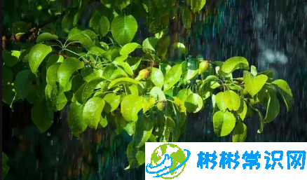 湖南梅雨季节是不是天气很冷