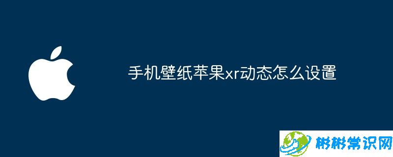 手机壁纸苹果xr动态怎么设置