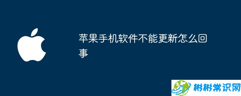 苹果手机软件不能更新怎么回事