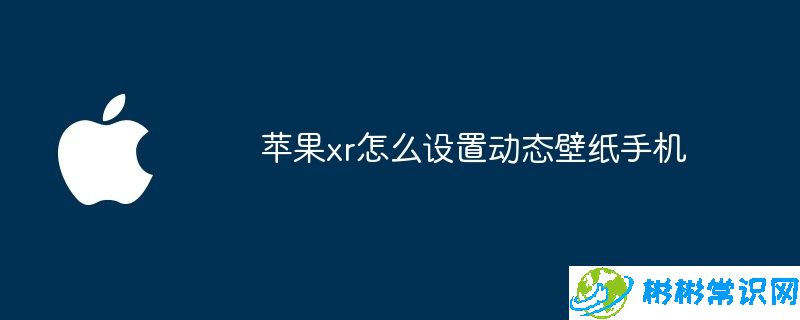 苹果xr怎么设置动态壁纸手机