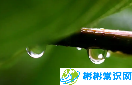 为什么武汉这些天老是下雨