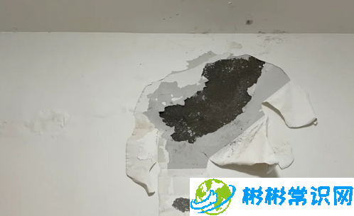 楼上漏水修补后又漏水怎么办？楼上漏水修补后又漏水谁负责