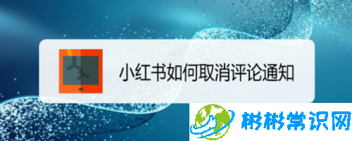 小红书评论通知怎么关闭 评论通知关闭方法介绍