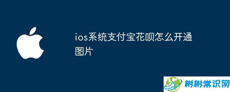 ios系统支付宝花呗怎么开通图片