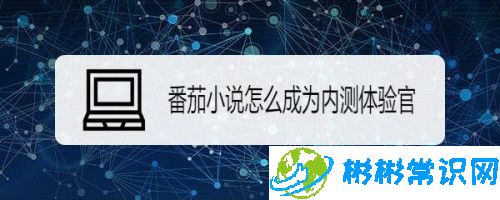 番茄小说内测怎么加入_加入内测方法