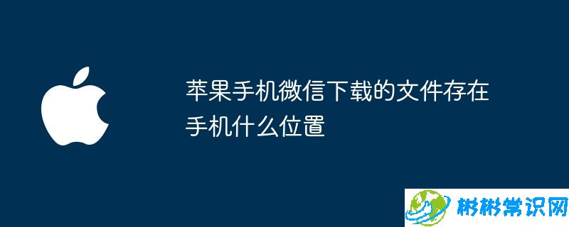 苹果手机微信下载的文件存在手机什么位置