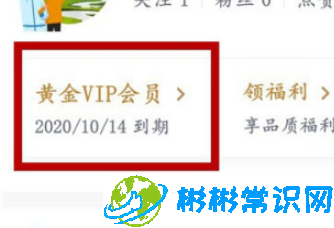 爱奇艺不花钱续费VIP教程